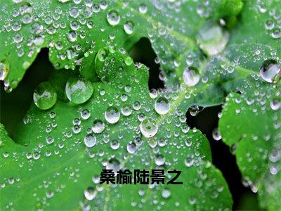 桑榆陆景之全文免费阅读大结局_桑榆陆景之（桑榆陆景之）最新章节列表