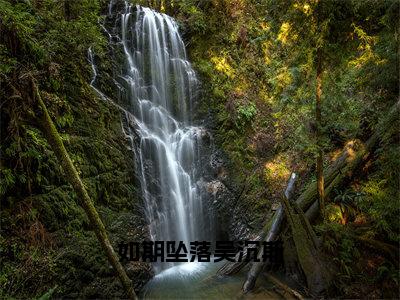 如期坠落吴沉斯（张小满吴沉斯全章节完整版）免费阅读_（张小满吴沉斯）如期坠落吴沉斯全文无删减免费阅读