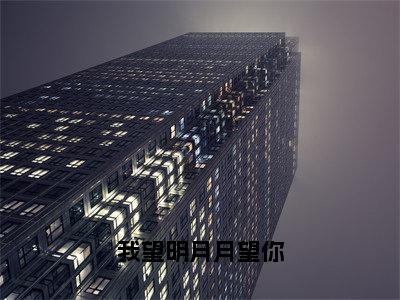 我望明月月望你全集章节小说免费阅读完整版（陆宴宋景钰）-陆宴宋景钰小说免费阅读