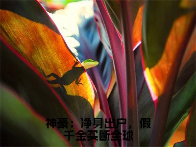 时姝（时姝）全文免费阅读无弹窗_神豪：净身出户，假千金买断全球小说免费阅读_笔趣阁