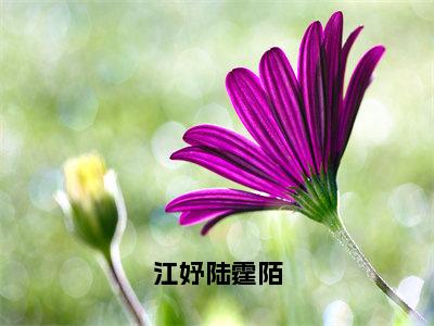 江妤陆霆陌（江妤陆霆陌全文免费阅读）小说最新章节_江妤陆霆陌全文免费阅读最新章节列表_笔趣阁