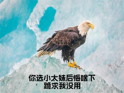 （你选小太妹后悔啥下跪求我没用）全文免费阅读无弹窗大结局_（林萱阅读无弹窗）你选小太妹后悔啥下跪求我没用最新章节列表