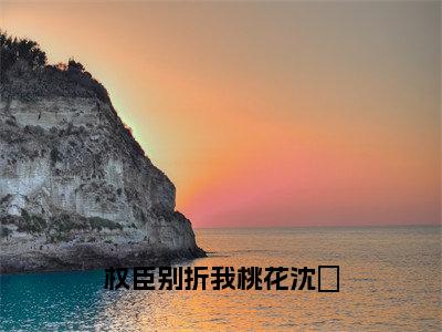 谢辞景沈珺小说在线阅读（权臣别折我桃花沈珺）全文免费阅读无弹窗大结局