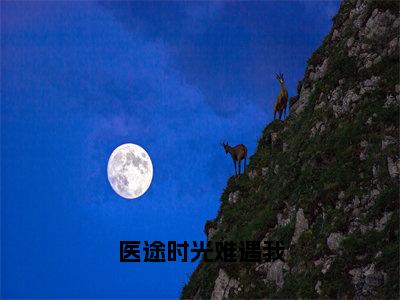 医途时光难遇我（林景芸许舟渡）全文免费阅读大结局_医途时光难遇我（林景芸许舟渡在线小说免费阅读）全文阅读大结局