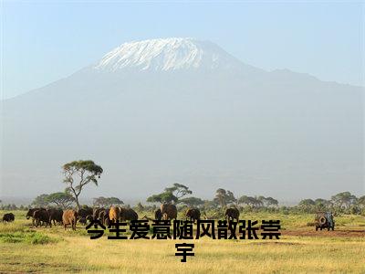 今生爱意随风散张崇宇小说（张崇宇）免费阅读全文无弹窗大结局_张崇宇免费阅读无弹窗小说_小说笔趣阁