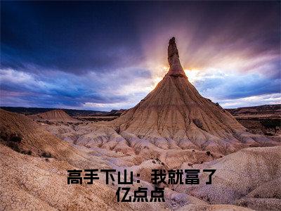 高手下山：我就富了亿点点小说（叶飞）全文免费阅读无弹窗_高手下山：我就富了亿点点小说_笔趣阁