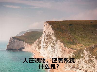 人在娘胎，逆袭系统什么鬼？在线阅读（楚风小说）全文免费阅读无弹窗大结局_人在娘胎，逆袭系统什么鬼？免费最新章节列表