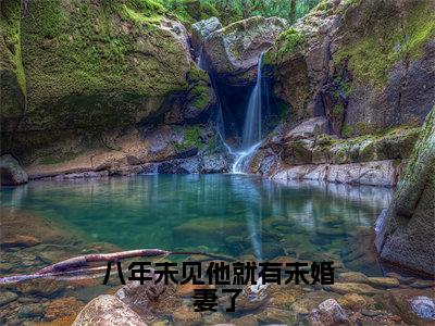 简夏陆瑾年（八年未见他就有未婚妻了）免费全文阅读小说_（简夏陆瑾年）八年未见他就有未婚妻了最新章节列表