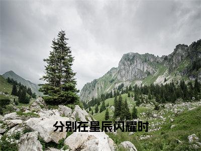 苏幕遮陆景宴全文免费阅读大结局-分别在星辰闪耀时结局免费阅读