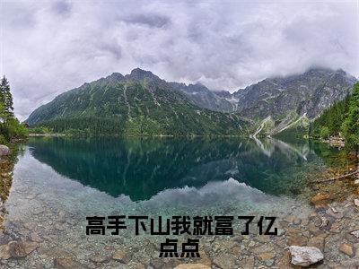 叶飞（高手下山我就富了亿点点）小说全文在线阅读_叶飞最新章节在线阅读_笔趣阁