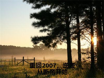 陈峰重回2007，逆袭从断亲开始小说全文无广告阅读-陈峰小说赏析重回2007，逆袭从断亲开始