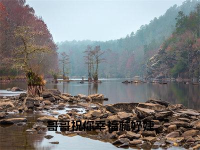 （哥哥祝你幸福林妤婕）全文免费阅读-哥哥祝你幸福林妤婕（林妤婕谢枫野）最新章节列表阅读