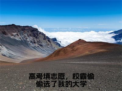 高考填志愿，校霸偷偷选了我的大学（宋想想陈见津）小说全文免费阅读无弹窗_（宋想想陈见津）高考填志愿，校霸偷偷选了我的大学小说全文免费阅读最新章节列表笔趣阁