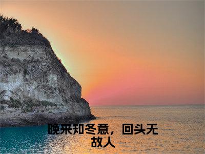 小说沈冬意穆晏川全文免费阅读无弹窗大结局-晚来知冬意，回头无故人在线阅读