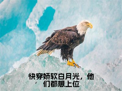 快穿娇软白月光，他们都想上位全文免费阅读_（苏妧免费阅读无弹窗）快穿娇软白月光，他们都想上位最新章节列表笔趣阁