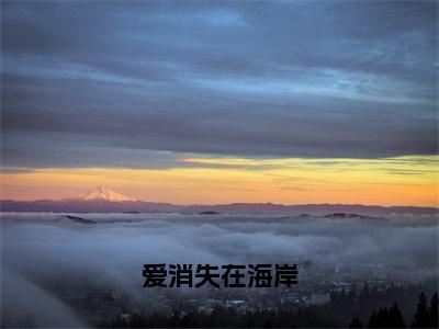 爱消失在海岸（季裴司江吟霜）小说全文免费阅读无弹窗_（季裴司江吟霜）最新章节列表_笔趣阁