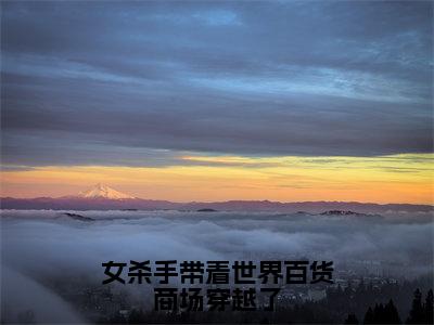 女杀手带着世界百货商场穿越了小说（白蔷薇）免费阅读全文无弹窗大结局_白蔷薇免费阅读无弹窗小说_小说笔趣阁