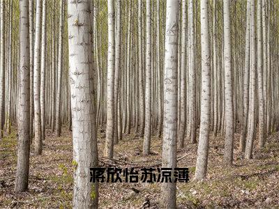 蒋欣怡苏凉薄（蒋欣怡苏凉薄）全文在线阅读无弹窗大结局_蒋欣怡苏凉薄免费阅读全文大结局