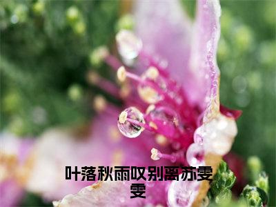 叶落秋雨叹别离苏雯雯（严天禹苏雯雯）全文免费阅读无弹窗大结局_（严天禹苏雯雯免费阅读全文大结局）最新章节列表