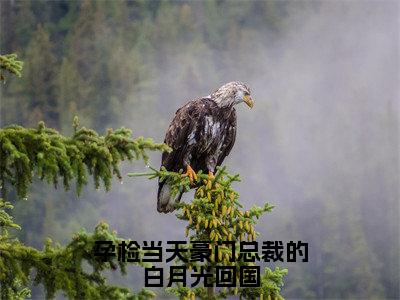 孕检当天豪门总裁的白月光回国（墨承白唐霜）小说全文免费阅读无弹窗大结局_（墨承白唐霜）孕检当天豪门总裁的白月光回国最新章节列表