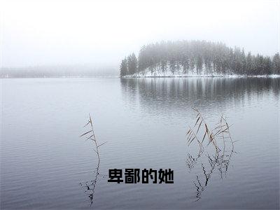 卑鄙的她在线阅读（奚涓檀祁）全文免费阅读无弹窗大结局_奚涓檀祁最新章节列表笔趣阁（卑鄙的她）