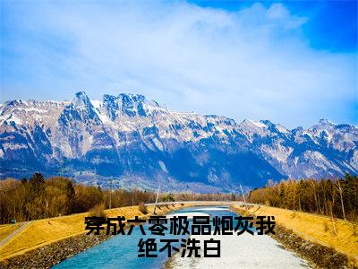 （何瑞雪）全文免费阅读无弹窗大结局-穿成六零极品炮灰我绝不洗白小说最新章节列表