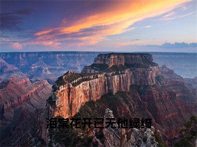 海棠花开已无他绿绮小说（萧弈云绿绮）全章节完整版免费小说_海棠花开已无他绿绮最新章节在线阅读_笔趣阁