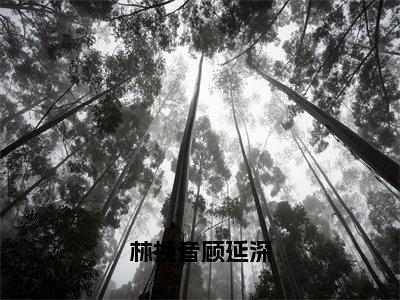 林挽音顾延深（林挽音顾延深）是哪部小说的主角-林挽音顾延深（林挽音顾延深）全文无弹窗完整版阅读