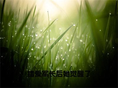 陆倚梅郑春生（错爱军长后她觉醒了）全文免费阅读无弹窗完整版，（陆倚梅郑春生）免费阅读全文最新章节列表_笔趣阁