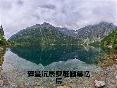 沈星若慕忆辰（碎星沉辰梦难圆慕忆辰）全文免费阅读无弹窗大结局_碎星沉辰梦难圆慕忆辰（沈星若慕忆辰免费阅读）_笔趣阁