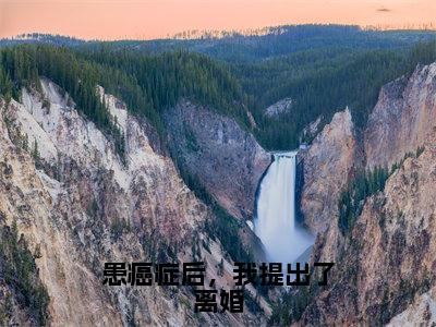 患癌症后，我提出了离婚小说全文（许奕）全文免费阅读无弹窗大结局_患癌症后，我提出了离婚小说全文最新章节列表