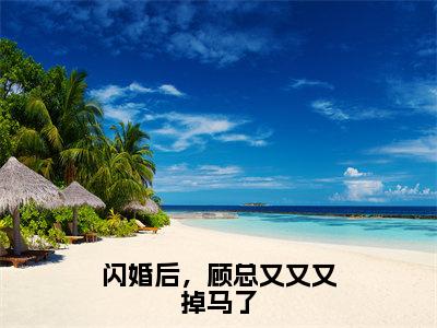 闪婚后，顾总又又又掉马了小说最新章节阅读闪婚后，顾总又又又掉马了季清霖顾北笙全文免费阅读最新章节大结局