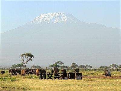 林文尧温晴雪（林文尧温晴雪）全文免费阅读无弹窗_林文尧温晴雪林文尧温晴雪最新章节免费阅读_笔趣阁