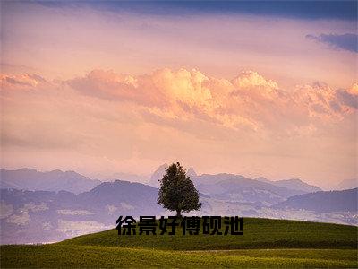 好书推荐小说徐景好傅砚池（徐景好傅砚池）-徐景好傅砚池全文免费阅读大结局