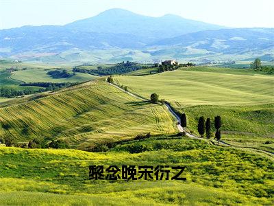 黎念晚宋衍之（黎念晚宋衍之）笔趣阁免费小说_黎念晚宋衍之笔趣阁最新章节黎念晚宋衍之免费在线阅读大结局