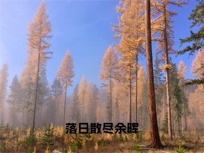 林意秋贡巴平措（落日散尽余晖）免费阅读无弹窗大结局_（落日散尽余晖）林意秋贡巴平措最新章节列表_笔趣阁