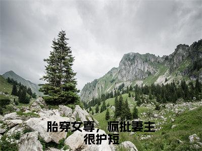 魏千云（胎穿女尊，疯批妻主很护短）免费小说-胎穿女尊，疯批妻主很护短全文在线阅读