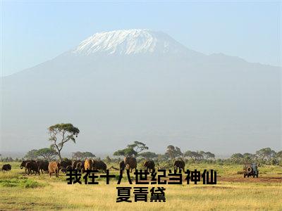 我在十八世纪当神仙夏青黛新书热荐免费小说夏青黛全文完整版-夏青黛小说全文无删减版免费阅读