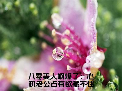 小说宋芙八零美人飒爆了：心机老公占有欲藏不住求书热文免费阅读-宋芙小说分享全文八零美人飒爆了：心机老公占有欲藏不住