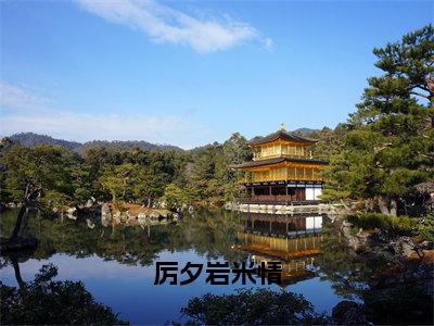 小说《厉夕岩米情》全文免费阅读无弹窗-米情厉夕岩小说全文在线赏析