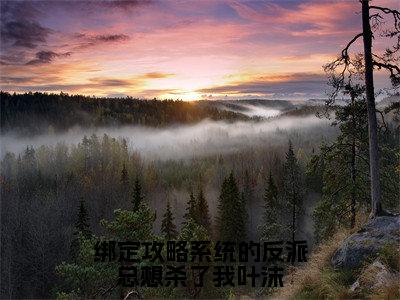 叶沫全文免费阅读大结局-绑定攻略系统的反派总想杀了我叶沫最新章节列表-笔趣阁