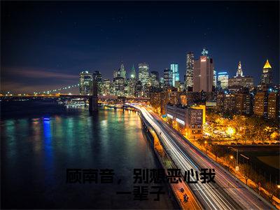 【新书】《顾南音薄景夜》全文免费阅读无弹窗大结局-顾南音，别想恶心我一辈子全文全章节免费阅读