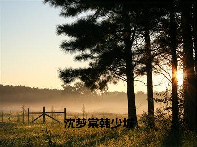 沈梦棠韩少城（韩少城沈梦棠）全文免费阅读无弹窗大结局_沈梦棠韩少城最新章节完整版阅读