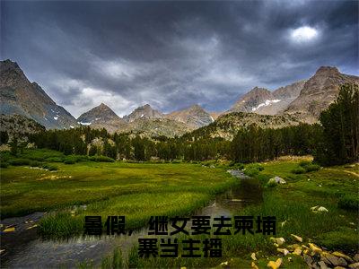 暑假，继女要去柬埔寨当主播小说（吴晓芙）全章节完整版免费小说_暑假，继女要去柬埔寨当主播最新章节在线阅读_笔趣阁