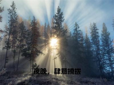 林清晚秦夜小说（夜晚，肆意撩拨）免费阅读-夜晚，肆意撩拨（林清晚秦夜）全章节最新阅读