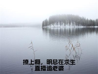 撩上瘾，明总在求生直播追老婆（主角是沈星晚明湛全文免费阅读无弹窗）_撩上瘾，明总在求生直播追老婆全文免费阅读无弹窗大结局