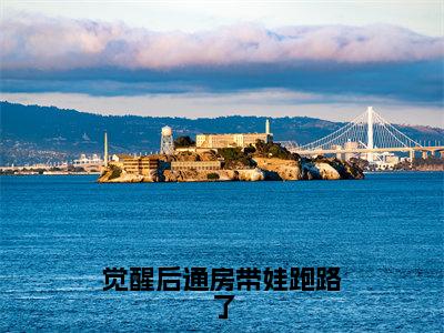 沈明奕温颂（觉醒后通房带娃跑路了）全文免费阅读无弹窗大结局_沈明奕温颂最新章节列表_笔趣阁（觉醒后通房带娃跑路了）