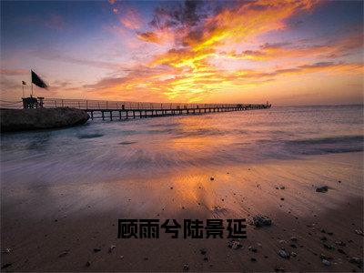 顾雨兮陆景延全文免费阅读全文免费阅读无弹窗大结局_顾雨兮陆景延全文免费阅读