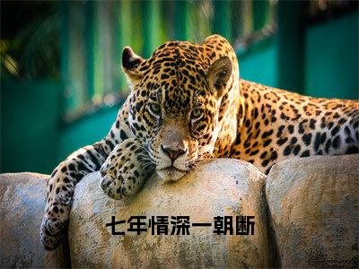 小说《七年情深一朝断》全文免费阅读无弹窗-七年情深一朝断（沈檀珠傅怀宴）小说全文在线赏析_笔趣阁