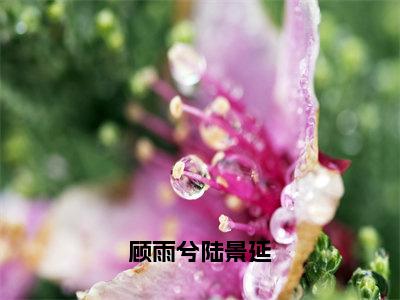 顾雨兮陆景延（顾雨兮陆景延）在哪免费看-顾雨兮陆景延小说（顾雨兮陆景延）全文完整版免费阅读